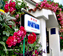 Fam. Davorka i Dijano Pavlinovic, Marka marulica 23, Podgora